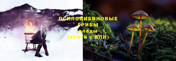 гидропоника Ельня