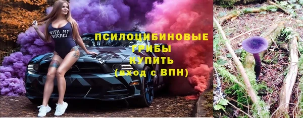 гидропоника Ельня