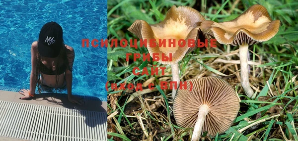 MESCALINE Магадан