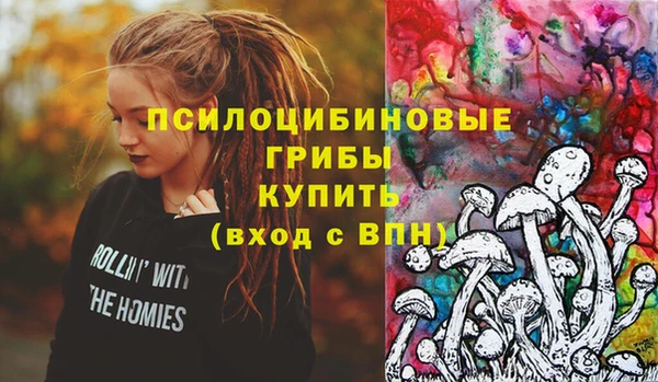 гидропоника Ельня