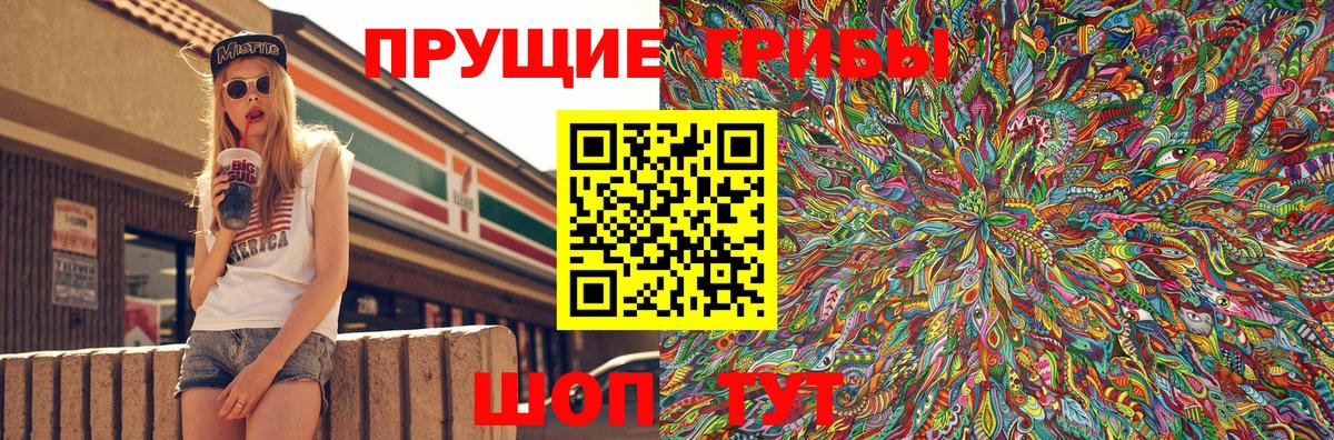 цена   Псилоцибиновые грибы прущие грибы  Звенигород  Галлюциногенные грибы мухоморы 